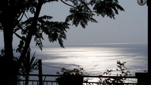 a view of the ocean from behind a tree at Villa Malandrino Guest House in Agropoli