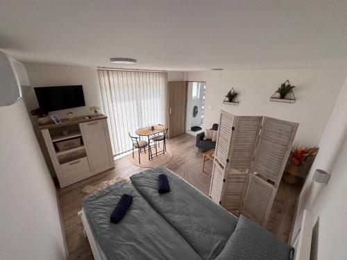 TV a/nebo společenská místnost v ubytování Ticina apartment