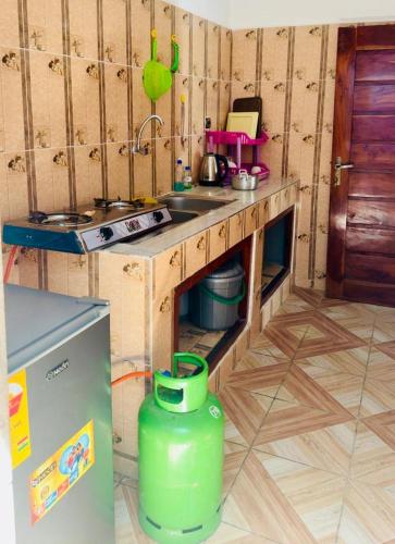 una piccola cucina con lavello e fornello di Les AMAZONES a Cotonou