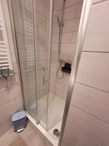 a shower with a glass door in a bathroom at Het Mergelhoek 1 - Parterre in Vaals