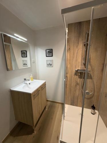 a bathroom with a sink and a shower at La Villa Louana 4 Appartement neuf et moderne tout confort in Aubusson