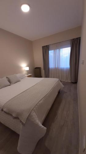 a bedroom with a large bed and a window at Decorama Vista in Dolores