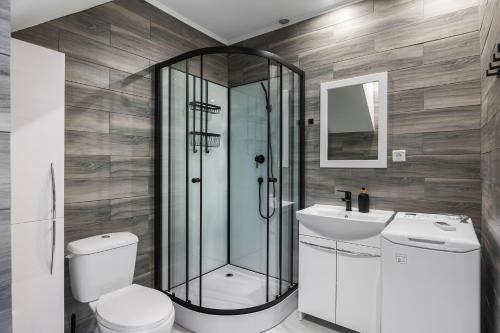 a bathroom with a shower and a toilet and a sink at Sielsko-Anielsko Kobyla Góra II in Ligota
