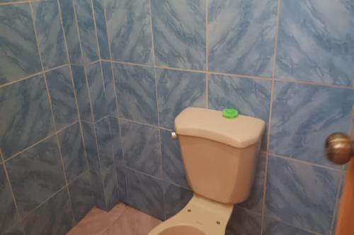 a bathroom with a toilet with a green button on it at Larosa Hostel Puerto Princesa in Puerto Princesa City