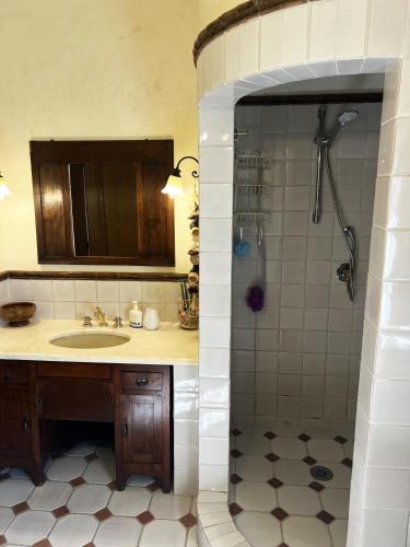 a bathroom with a shower and a sink and a sink at Country Historical House Lucca in San Gennaro