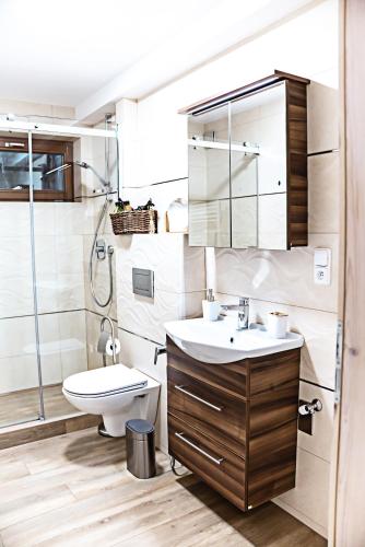 a bathroom with a sink and a toilet and a shower at Pod Dubem in Jeseník
