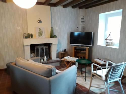 un salon avec un canapé et une cheminée dans l'établissement Petit nid ,1 km du zoo,au calme,détente assurée, à Seigy