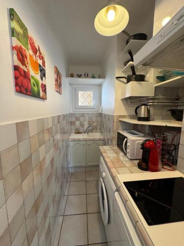 une petite cuisine avec un évier et un micro-ondes dans l'établissement L'helios studio au calme centre et mer, à Vallauris