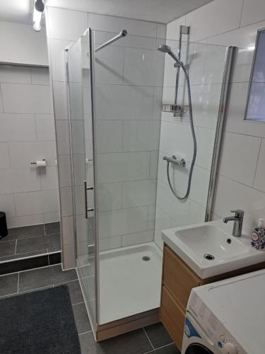 a bathroom with a shower and a sink at Feriënhaus Hohe Acht in Siebenbach