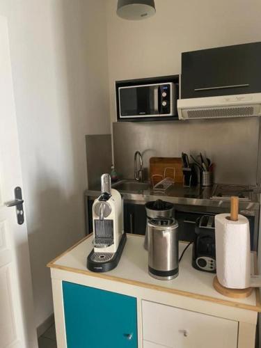 une cuisine avec un comptoir avec une cuisinière et un micro-ondes dans l'établissement Studio Vieux Port Chez Fanette, à Marseille
