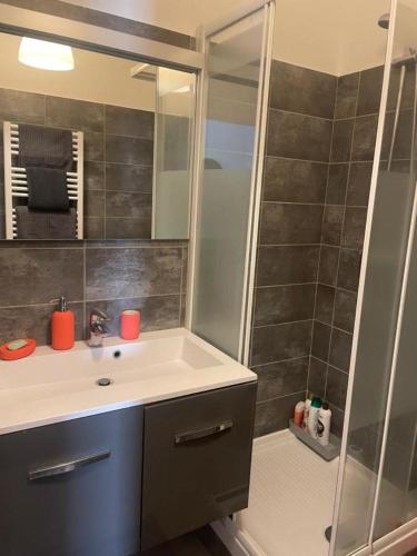 une salle de bain avec un lavabo et une douche dans l'établissement Studio Vieux Port Chez Fanette, à Marseille