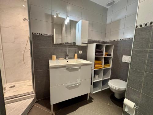 佩皮尼昂Superbe Appartement T3 Centre ville de Perpignan的带水槽、马桶和淋浴的浴室