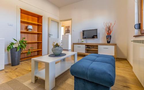 Televisyen dan/atau pusat hiburan di Big apartment with free parking