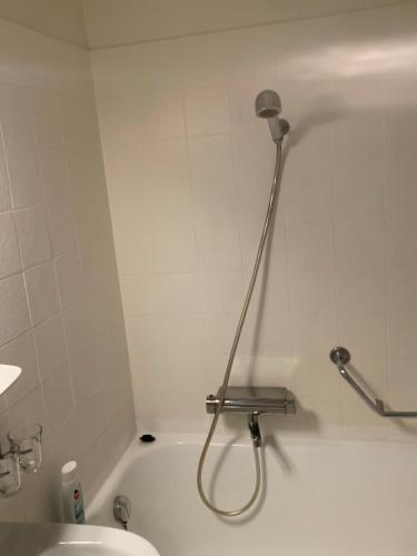 a shower in a bathroom with a white tub at Beautiful 1-Bed Apartment near Palexpo, UN Agencies & Diplomatic Missions in Geneva