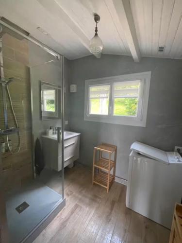 une salle de bain avec douche et lavabo dans l'établissement chalet cosy au calme, à Laveline