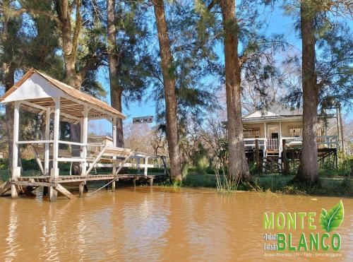 a house with a dock in the middle of water at Quinta isleña Monte Blanco - Domingos Checkout 17 hs in Tigre