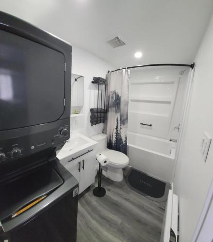 a small bathroom with a toilet and a television at Auberge Le Cosy Amos in Amos