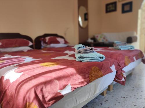 Postel nebo postele na pokoji v ubytování Elena Holiday Apartment