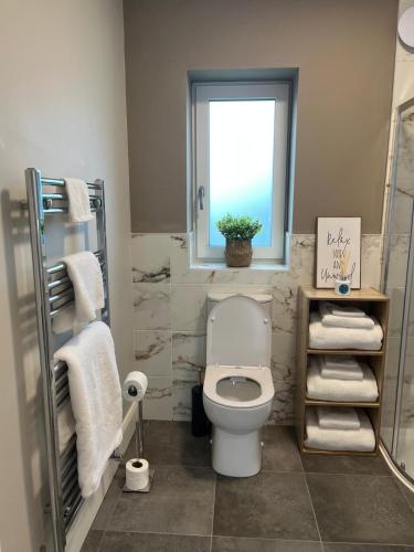 a bathroom with a toilet and a window and towels at Emville Lodge in Galway