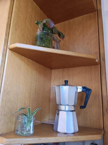 a coffee maker on a shelf with two plants at Plose Appartements in Bressanone