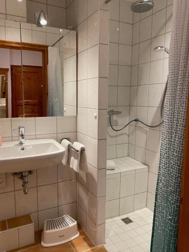 a bathroom with a sink and a shower at Schumacher's Landhaus - Bücherhotel in Friedeburg