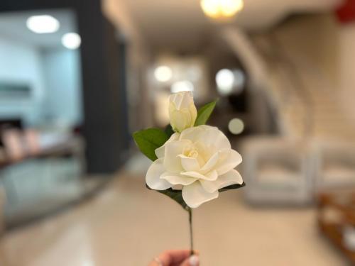 a person holding a white flower on a table at Alpino Hotel in Buenos Aires