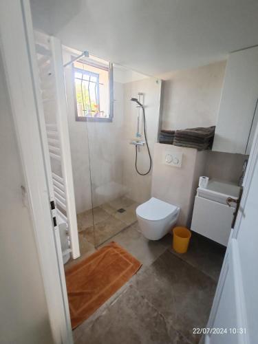 une petite salle de bain avec toilettes et douche dans l'établissement Villa au calme avec piscine, 600 m de la mer, à Saint-Raphaël