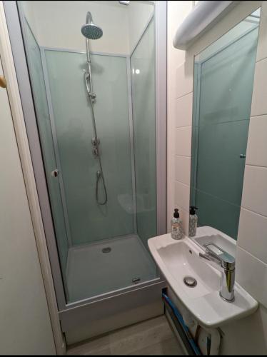une salle de bain avec douche et lavabo dans l'établissement Studio Évreux Centre Navarre, à Évreux