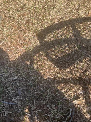 a shadow of a person on the grass at Dna in Memphis