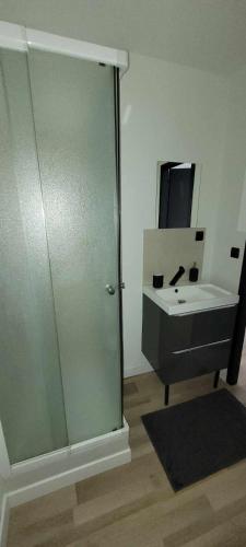 une salle de bain avec une douche en verre et un lavabo dans l'établissement Studio Blain centre ville, à Blain
