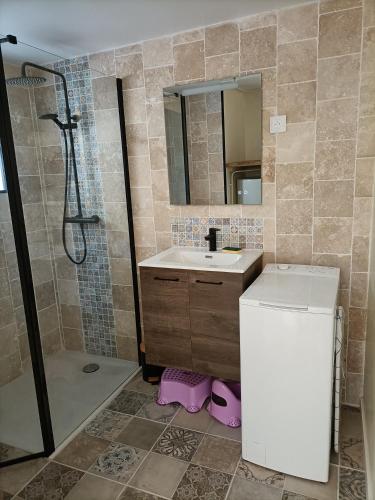 a bathroom with a sink and a shower at La maison verte in Saint-Pierre-du-Regard