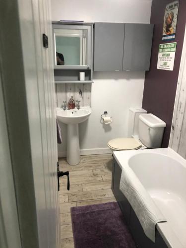 a bathroom with a sink and a tub and a toilet at Middle Cottage Alton Towers, Peak District, JCB in Croxden