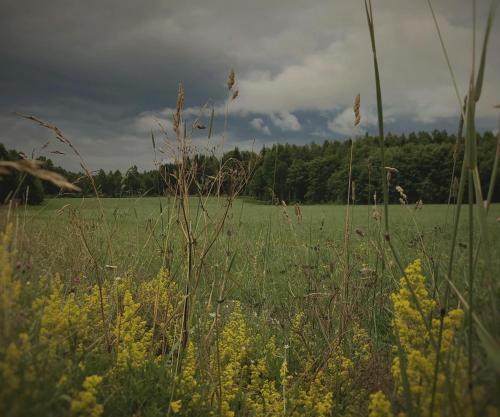 Fotografie z fotogalerie ubytování Mölebo Country School v destinaci Mölebo