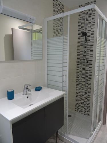 une salle de bain avec un lavabo et une douche dans l'établissement La Liberté dans le Beaujolais, à Lancié