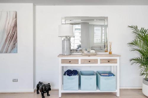 a vanity with a mirror and a dog in a room at Heart of Manly - Quiet 1 Bed between Beach & Harbour in Sydney