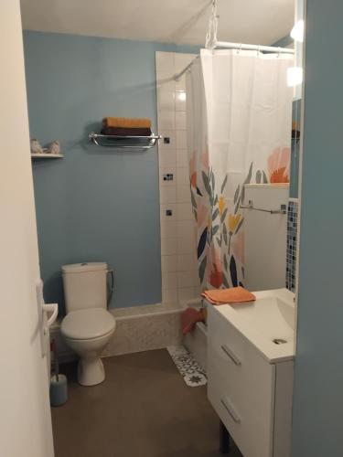une salle de bain avec toilettes et douche dans l'établissement Studio Mer et Centre équestre, à Mers-les-Bains