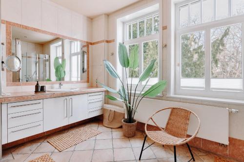 a bathroom with a sink and a potted plant at 3-Zimmer-Wohnung "Strandgeflüster" direkt am Strand in Travemünde in Travemünde