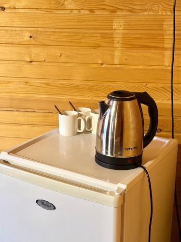 a tea kettle on top of a refrigerator at Водограй in Vorokhta