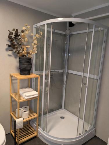 a shower in a bathroom with a stand up shower at E&E Apartment Senior in Svolvær