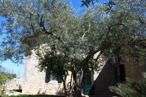 a tree in front of a building with a tower at Appartamento Le Tre Palme in Frigintini