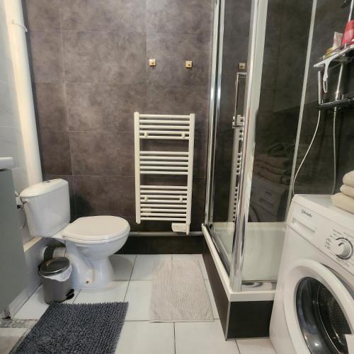 La salle de bains est pourvue de toilettes et d'un lave-linge. dans l'établissement Appartement proche de la vieille ville Nice et promenade des anglais, à Nice