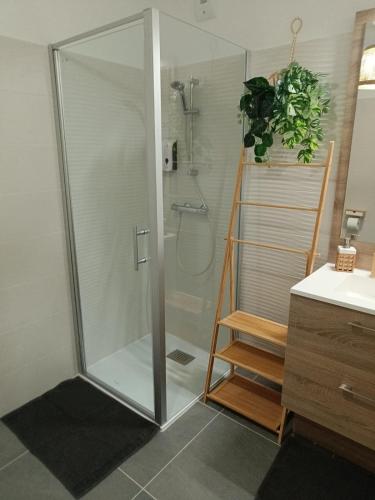 une douche avec une porte vitrée dans une salle de bain dans l'établissement Appartement classé 3 étoiles à 150m de la plage, à Fréjus