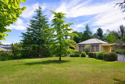 a tree in a yard next to a house at Melview Greens - Two-Bedroom Apartment in Orange