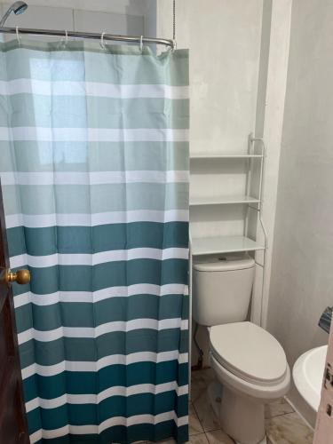 a bathroom with a toilet and a shower curtain at Casa Punta Arenas ubicación central in Punta Arenas