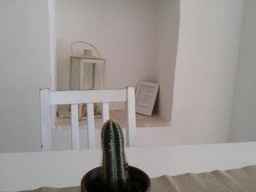 a cactus sitting on the floor next to a white wall at Corte Moline in Gallipoli