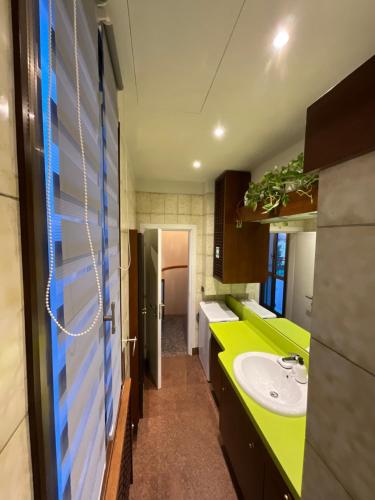 a bathroom with a green counter and a sink at La casa dei miei in Bologna