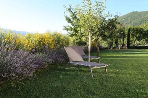 a chair sitting in the grass in a field at Agriturismo La Cascina di Opaco in Norcia
