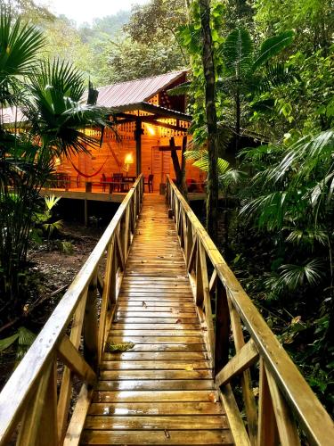 a wooden bridge leading to a house in the forest at Kurrulau Hotel Playa Pacífica in Nabugá