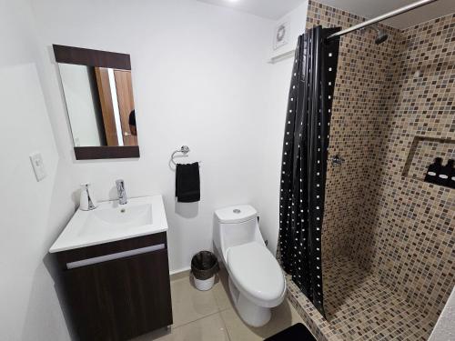 a bathroom with a toilet and a sink and a shower at Habitación con baño privado en departamento compartido cerca de zona de conciertos in Mexico City