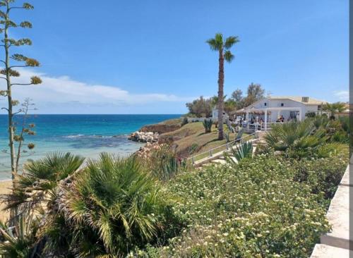 einen Strand mit einer Palme und dem Meer in der Unterkunft Casa A Pupidda vicino al mare in Avola